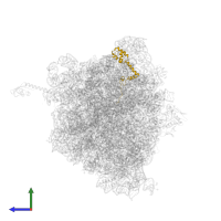 Small ribosomal subunit protein uS13 in PDB entry 4y4p, assembly 2, side view.