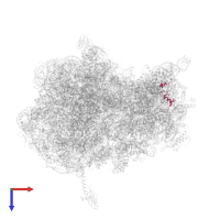 30S ribosomal protein S14 type Z in PDB entry 4y4p, assembly 2, top view.