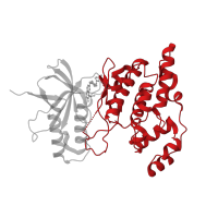 The deposited structure of PDB entry 4y5h contains 1 copy of CATH domain 1.10.510.10 (Transferase(Phosphotransferase); domain 1) in Mitogen-activated protein kinase 10. Showing 1 copy in chain A.