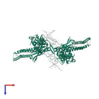 Signal transducer and activator of transcription 6 in PDB entry 4y5w, assembly 2, top view.