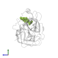 4-[(3S)-3-({[(E)-2-(5-chlorothiophen-2-yl)ethenyl]sulfonyl}amino)-2-oxopyrrolidin-1-yl]-3-fluoro-N,N-dimethylbenzamide in PDB entry 4y6d, assembly 1, side view.