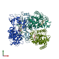 PDB entry 4y6q coloured by chain, front view.