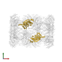 Proteasome subunit beta type-5 in PDB entry 4y74, assembly 1, front view.