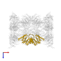 Proteasome subunit beta type-5 in PDB entry 4y74, assembly 1, top view.