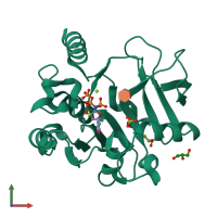 PDB entry 4y7u coloured by chain, front view.