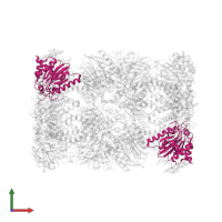 Proteasome subunit alpha type-5 in PDB entry 4y7w, assembly 1, front view.