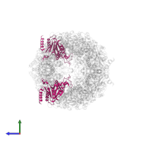Proteasome subunit alpha type-5 in PDB entry 4y7w, assembly 1, side view.
