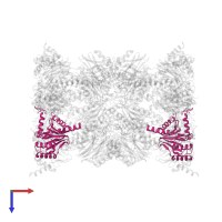 Proteasome subunit alpha type-5 in PDB entry 4y7w, assembly 1, top view.