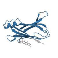 The deposited structure of PDB entry 4y9g contains 2 copies of Pfam domain PF00576 (HIUase/Transthyretin family) in Transthyretin. Showing 1 copy in chain A.