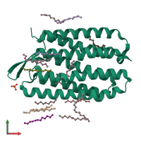PDB entry 4y9h coloured by chain, front view.
