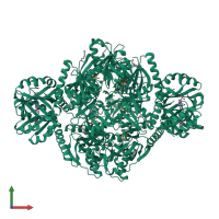 Homo hexameric assembly 1 of PDB entry 4yb6 coloured by chemically distinct molecules, front view.