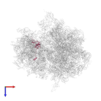 Small ribosomal subunit protein uS12 in PDB entry 4ybb, assembly 1, top view.