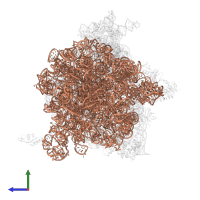 23S ribosomal RNA in PDB entry 4ybb, assembly 1, side view.