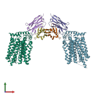 PDB entry 4ybq coloured by chain, front view.