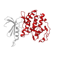 The deposited structure of PDB entry 4yc6 contains 4 copies of CATH domain 1.10.510.10 (Transferase(Phosphotransferase); domain 1) in Cyclin-dependent kinase 1. Showing 1 copy in chain A.