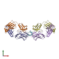 PDB entry 4ydv coloured by chain, front view.