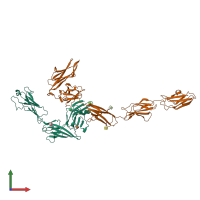 PDB entry 4yfd coloured by chain, front view.