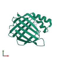Cellular retinoic acid-binding protein 2 in PDB entry 4yfq, assembly 1, front view.