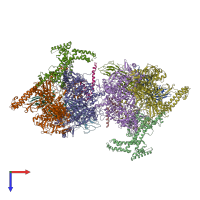 PDB entry 4yfx coloured by chain, top view.