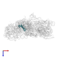 Small ribosomal subunit protein uS15 in PDB entry 4yhh, assembly 1, top view.