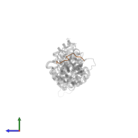 APC membrane recruitment protein 1 in PDB entry 4yjl, assembly 6, side view.