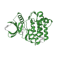 The deposited structure of PDB entry 4yjp contains 1 copy of Pfam domain PF07714 (Protein tyrosine and serine/threonine kinase) in Tyrosine-protein kinase SYK. Showing 1 copy in chain A.