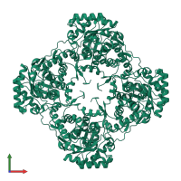 L-lactate oxidase in PDB entry 4yl2, assembly 1, front view.