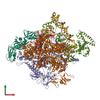 Hetero nonameric assembly 1 of PDB entry 4yln coloured by chemically distinct molecules, front view.
