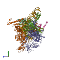 Hetero nonameric assembly 1 of PDB entry 4yln coloured by chemically distinct molecules, side view.