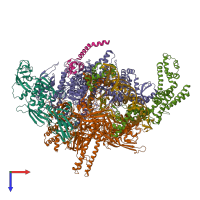 Hetero nonameric assembly 1 of PDB entry 4yln coloured by chemically distinct molecules, top view.