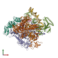 Hetero nonameric assembly 2 of PDB entry 4yln coloured by chemically distinct molecules, front view.