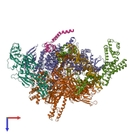 Hetero nonameric assembly 2 of PDB entry 4yln coloured by chemically distinct molecules, top view.