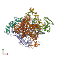 Hetero nonameric assembly 3 of PDB entry 4yln coloured by chemically distinct molecules, front view.