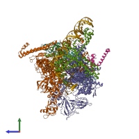Hetero nonameric assembly 3 of PDB entry 4yln coloured by chemically distinct molecules, side view.