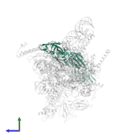 DNA-directed RNA polymerase subunit alpha in PDB entry 4yln, assembly 1, side view.