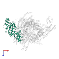 DNA-directed RNA polymerase subunit alpha in PDB entry 4yln, assembly 1, top view.