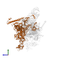 DNA-directed RNA polymerase subunit beta in PDB entry 4yln, assembly 1, side view.