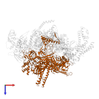 DNA-directed RNA polymerase subunit beta in PDB entry 4yln, assembly 1, top view.