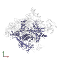 DNA-directed RNA polymerase subunit beta' in PDB entry 4yln, assembly 1, front view.