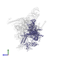 DNA-directed RNA polymerase subunit beta' in PDB entry 4yln, assembly 1, side view.