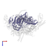 DNA-directed RNA polymerase subunit beta' in PDB entry 4yln, assembly 1, top view.