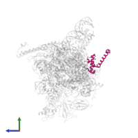 DNA-directed RNA polymerase subunit omega in PDB entry 4yln, assembly 1, side view.