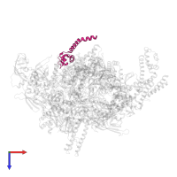 DNA-directed RNA polymerase subunit omega in PDB entry 4yln, assembly 1, top view.