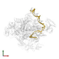 NT strand DNA (49-MER) in PDB entry 4yln, assembly 1, front view.