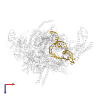 NT strand DNA (49-MER) in PDB entry 4yln, assembly 1, top view.