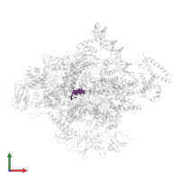 RNA (5'-D(*(GTP))-R(P*AP*GP*U)-3') in PDB entry 4yln, assembly 1, front view.
