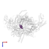 RNA (5'-D(*(GTP))-R(P*AP*GP*U)-3') in PDB entry 4yln, assembly 1, top view.