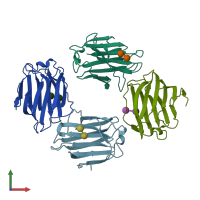 PDB entry 4ym3 coloured by chain, front view.