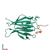 PDB entry 4ym4 coloured by chain, front view.