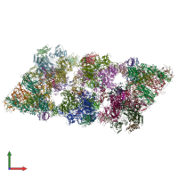 PDB entry 4ym7 coloured by chain, front view.